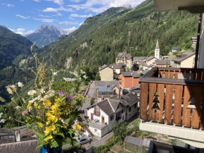 Bel appartement 2.5 pièces avec balcon, magnifique vue sur le glacier des Grands